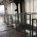 러브독 애견스쿨 이미지