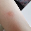 가윤이네리본 이미지