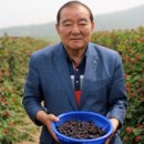 제일푸드윈
