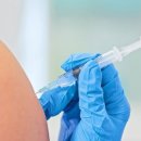 신장고등학교 이미지