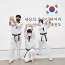 용인대가온태권도 이미지