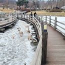 안성맞춤랜드공원13 이미지