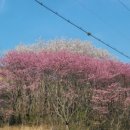 해병목장 이미지