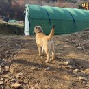 경호농장 이미지