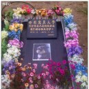 베이징, 애완동물 장례사업 성행 이미지