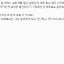 에스더라이프