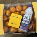 아싸노래방 | 아싸가 추구미인 외향인의 일주일