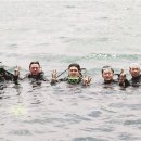 중리어촌체험휴양마을 이미지