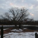 사랑의연리근 이미지