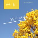 더 스킨 피부관리