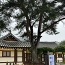 해든스테이 | 영암 펜션, 목포 근교 전통 한옥 펜션 : 해든 한옥스테이 / 감성 숙소 추천