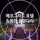 [순천여행] 동천 출렁다리 야경 &amp; 순천 유일의 4성급 호텔 에코그라드(더블트윈룸)