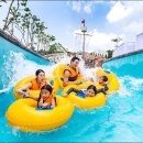 스플라스리솜 이미지