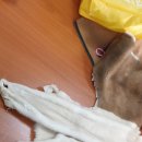 신세계모피세탁 이미지