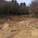 상천리-1 이미지