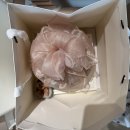 미담떡방 | [부산 백일떡] 남구 지원 20% 할인 쿠폰