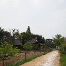태인초등학교 이미지