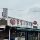 포항 두루치기 김치찌개 내돈내산 맛집 왕추천 [영일식육식당]
