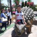 비젼센타 이미지