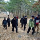 김인환농장 Daum카페