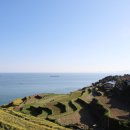 담작은민박 이미지