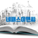 (주)네패스 이미지