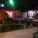 엄마와 까치집 두개 이미지