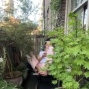 힐링 홈카페 이미지