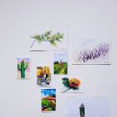 수비면 작은도서관 이미지