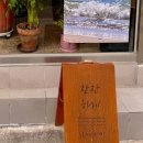 동호농산물시장 | [강원도여행] 동해 묵호에 오다. / 첫째 날 일기 / 동해 묵호 여행 / 20250405