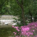 하늘숲펜션 이미지