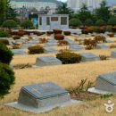 재한유엔기념공원 (UN기념공원) Daum카페