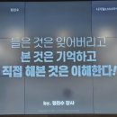 인셀덤국가대표