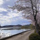 롯데캐슬,휴먼시아 사이 횡단보도 | 탈잉 제태크강의 <래빗해빛 60일 월급테크 챌린지> - 나만의 임장일기 완성하기