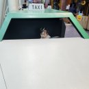 기흥2농장 | [용인] 기흥구 아이랑 체험관 | 용인 경기도어린이박물관