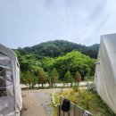 내돈내산인증증 / 글램탐다오 재방문 솔직 후기 (아이 셋과 함께 다녀온 여름 글램핑)