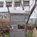 여행 인문학 | 3.1절 서울인문학여행 후기!