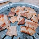 청춘돼지촌 이미지