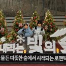 빛의 숲 이미지