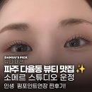 유화각뷰티스튜디오 속눈썹펌&연장 운정점 | [파주/다율동] 소메르 스튜디오에서 펌포인트연장 받고 광명 찾은 후기! (feat. 운정속눈썹 정착기)