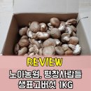 [구입후기] 노아농원, 평창사람들 - 생표고버섯 1kg
