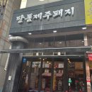 탄통제주돼지