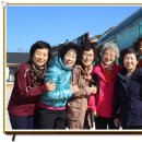 고려영광홍삼