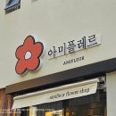 아미플레르 이미지