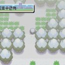 호수체육관 이미지