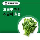 초록빛약국 이미지