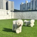 아이멍그라운드 네이버블로그