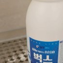 개미농장 | 농촌 주택 텃밭 개미 바퀴벌레 퇴치 간편 살충제