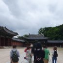 다올사회적협동조합 이미지