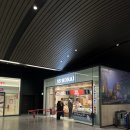 세븐일레븐 이태원본점B | [551 호라이 난카이 난바역 북쪽출구점] 에비슈마이 &amp; 야끼교자 추천 조합! (feat. 세븐일레븐 그라탕)